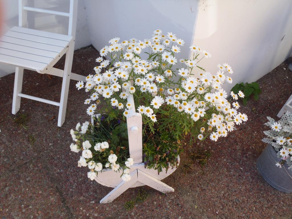 Oddevej 20 Skagen Hotel Buitenkant foto
